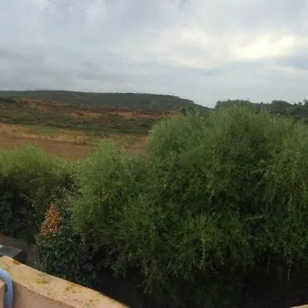 Holiday home Live The Dream In Vignola Bay