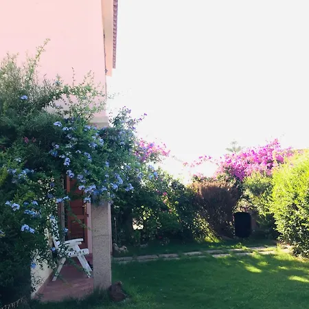 Live The Dream In Vignola Bay Ferienhaus